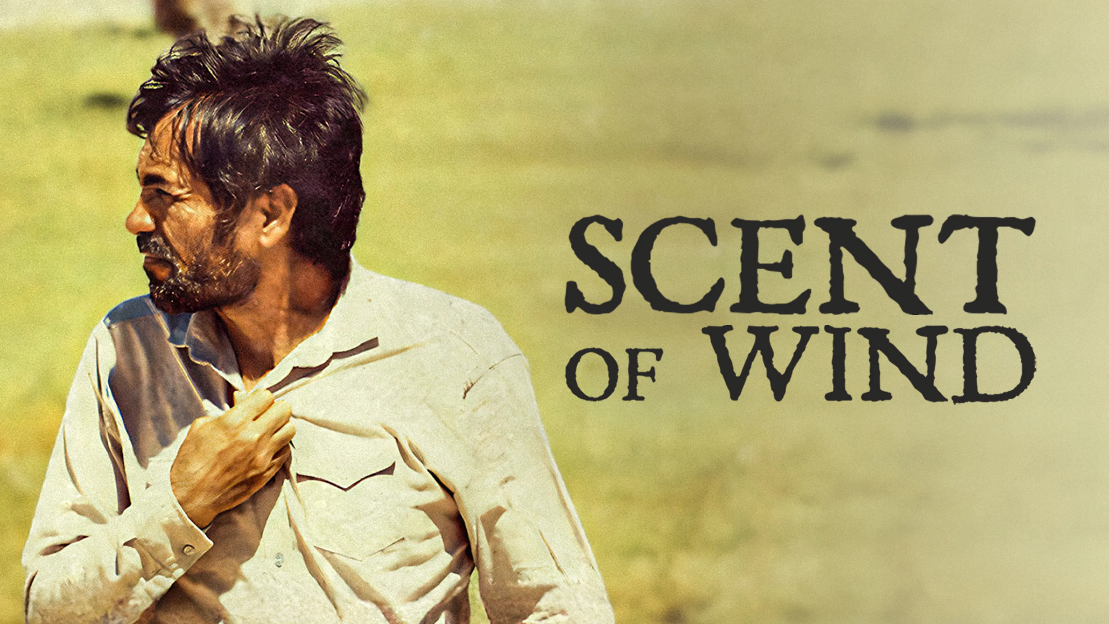 Scent of Wind poster